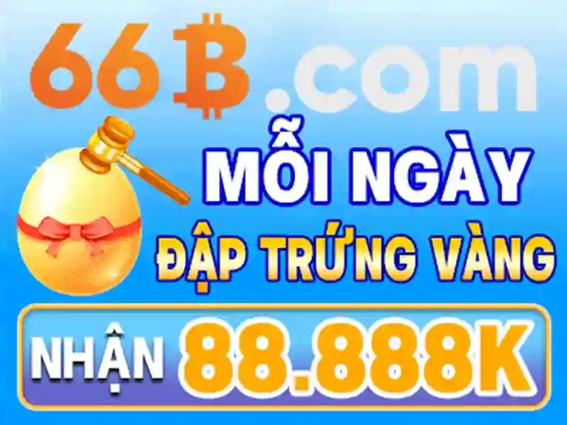 66B là gì?