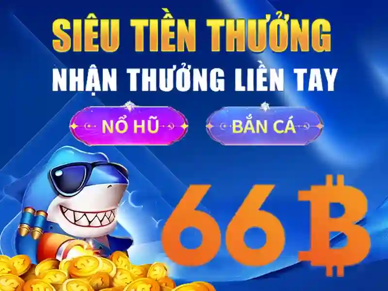66B là gì?