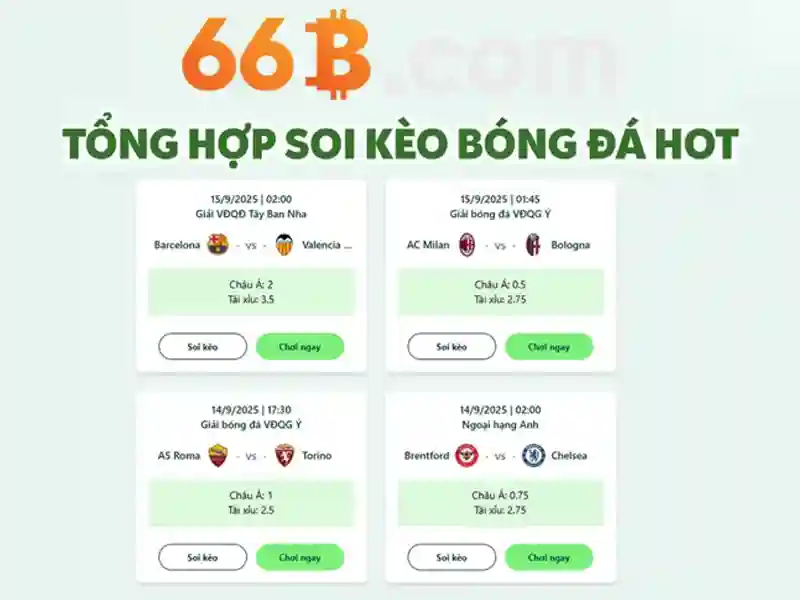 66b là gì