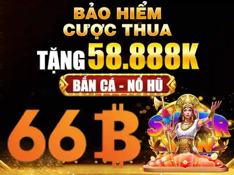 66B là gì và tại sao nó quan trọng